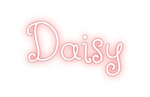 Custom Neon: Daisy
