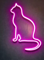 Make your own Neon Cat
