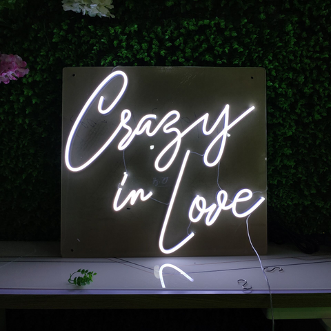 Led Neon Sign Crazy in Love