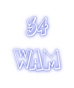 Custom Neon:   34
WAM